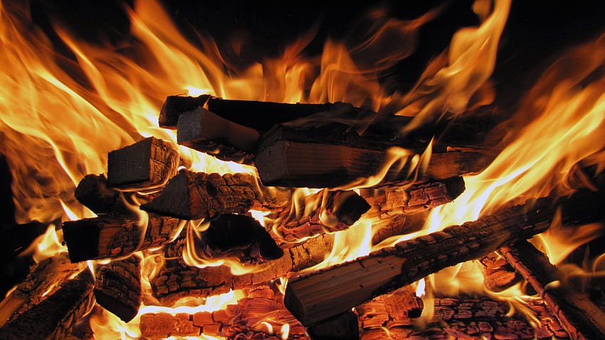 firewoods for sale